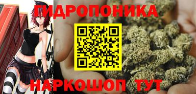 гидропоника Донской
