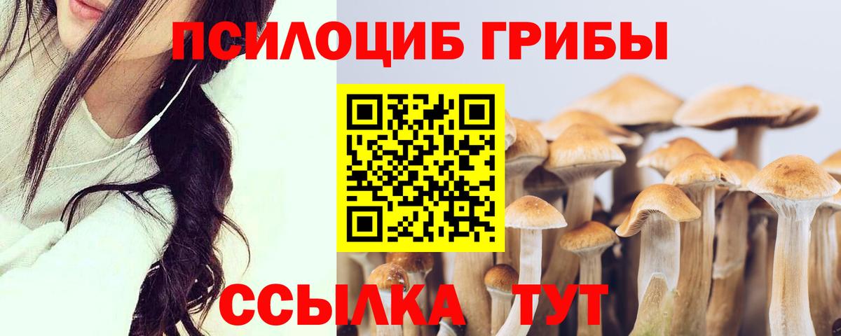 Псилоцибиновые грибы Psilocybine cubensis  Псилоцибиновые грибы мицелий  Вход с VPN  Минеральные Воды 